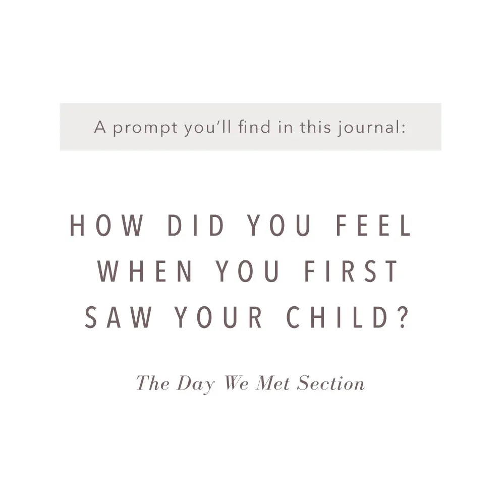 Adoption History Journal - Adoption to 18 Years