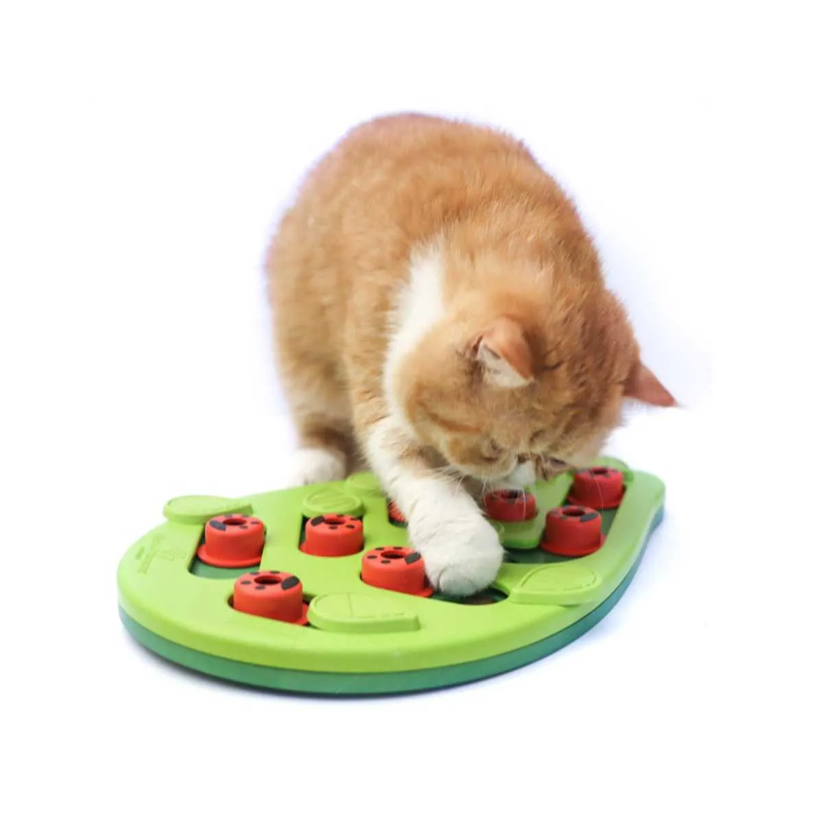 Buggin Out Puzzle & Play Cat Game