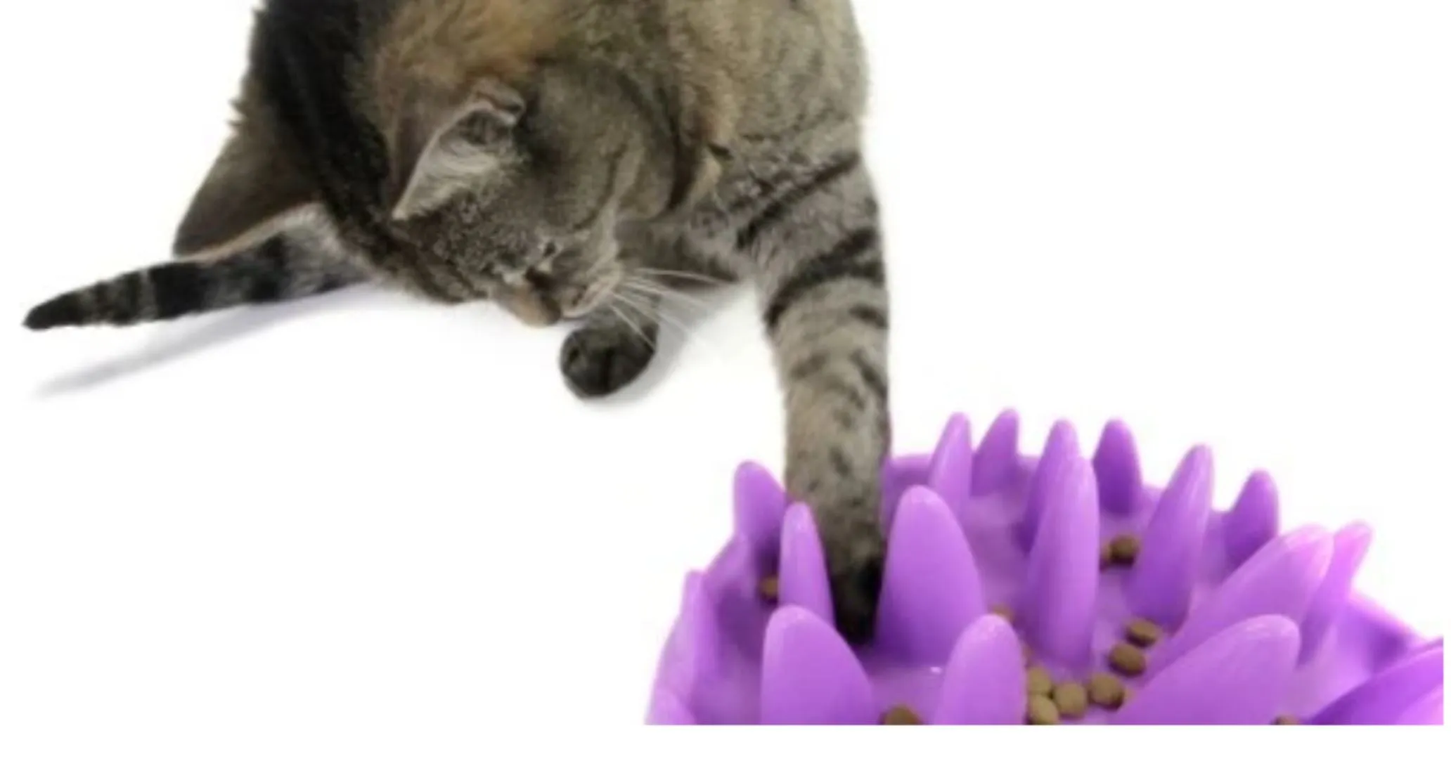 Cat Enrichment Toy Northmate Catch Slow Feeder For Cats