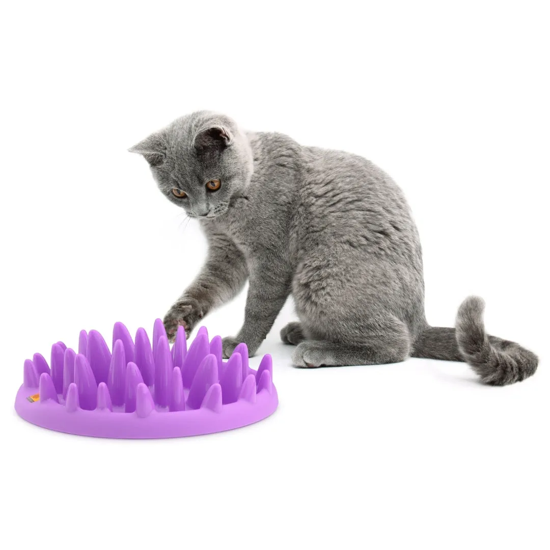 Cat Enrichment Toy Northmate Catch Slow Feeder For Cats