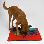 Dog Sniff and Search Interactive Nosework Puzzle Game, Heart Pad