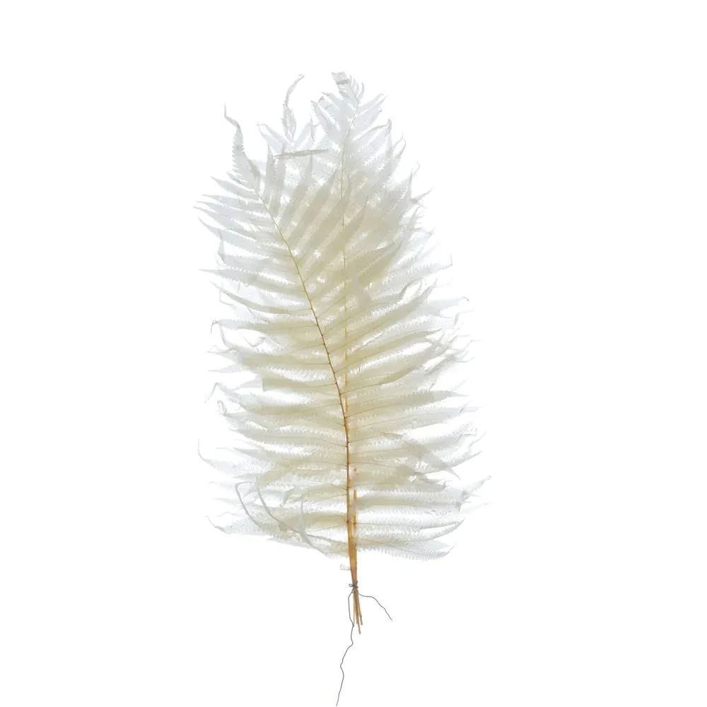 Dried Natural Cream Fern Leaf Bunch