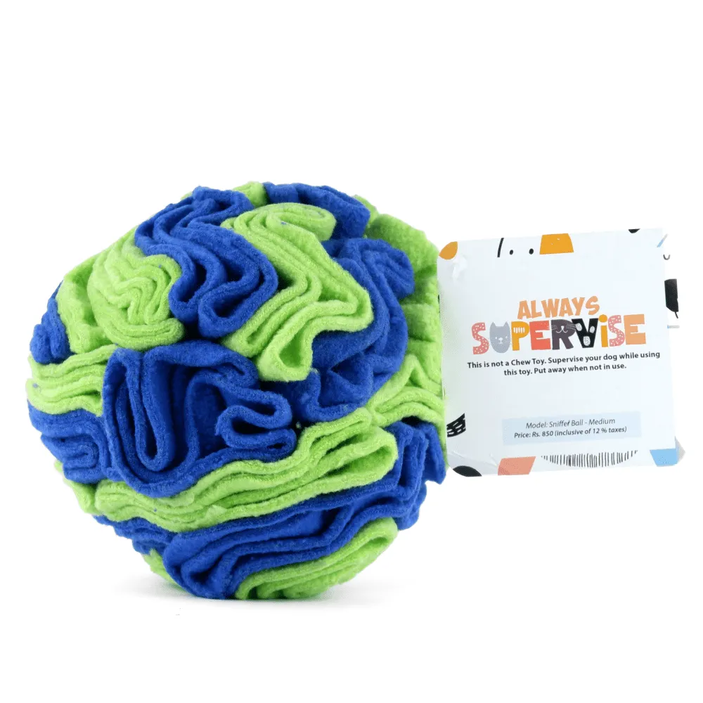 For The Love Of Dog Sniffer Ball Toy for Dogs (Blue/Green)