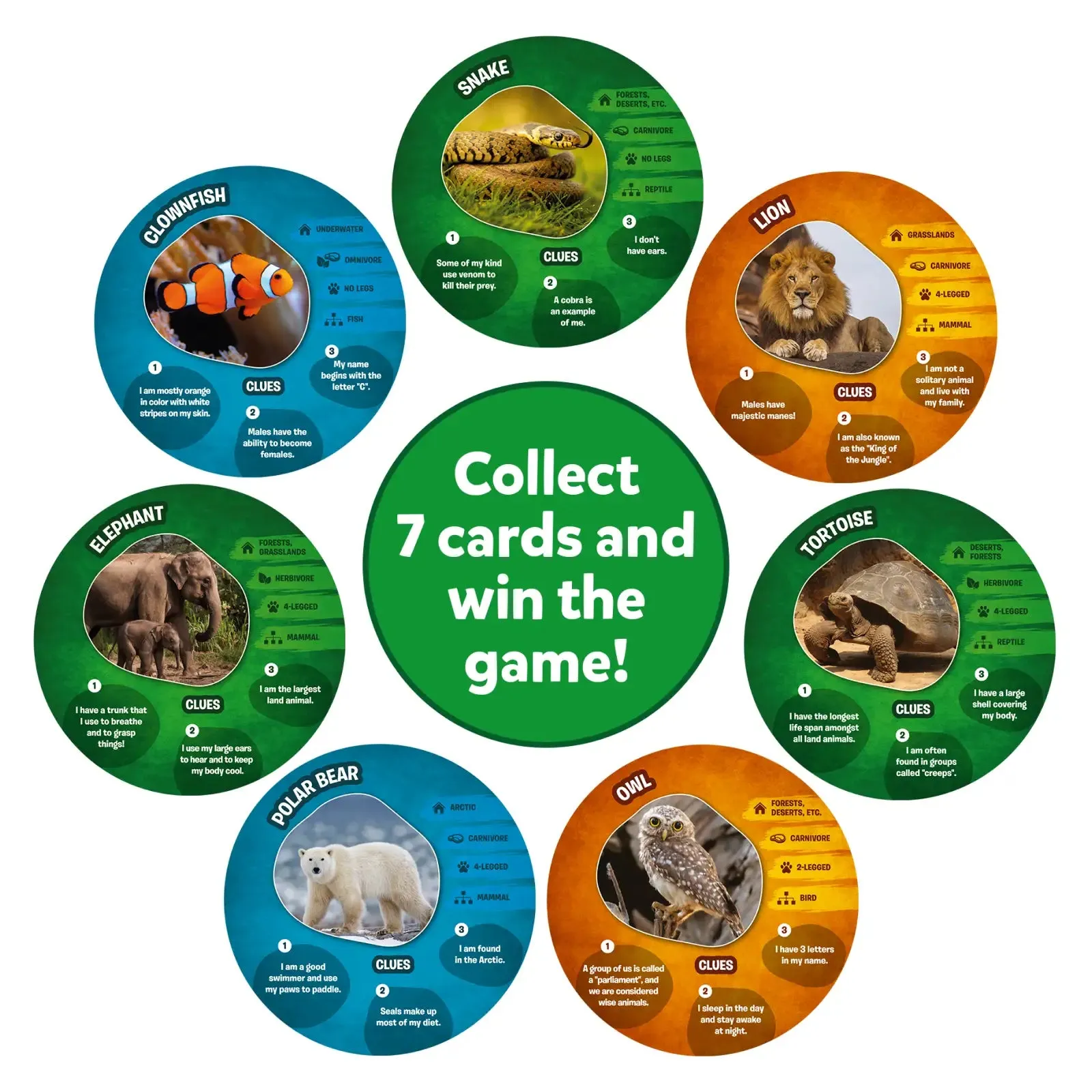 Guess in 10: Picture Clues Animal Planet | Trivia card game (ages 6 )