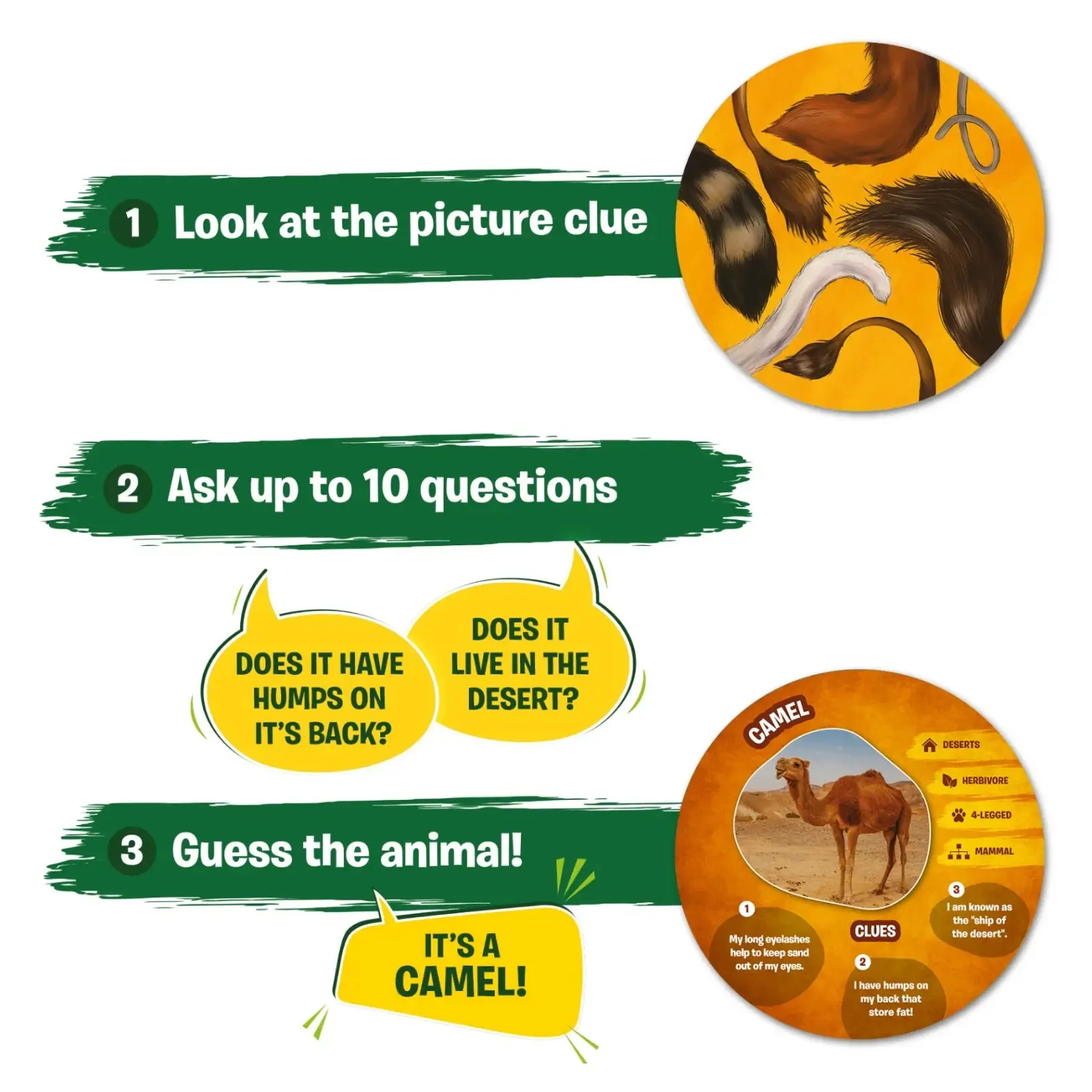 Guess in 10: Picture Clues Animal Planet | Trivia card game (ages 6 )