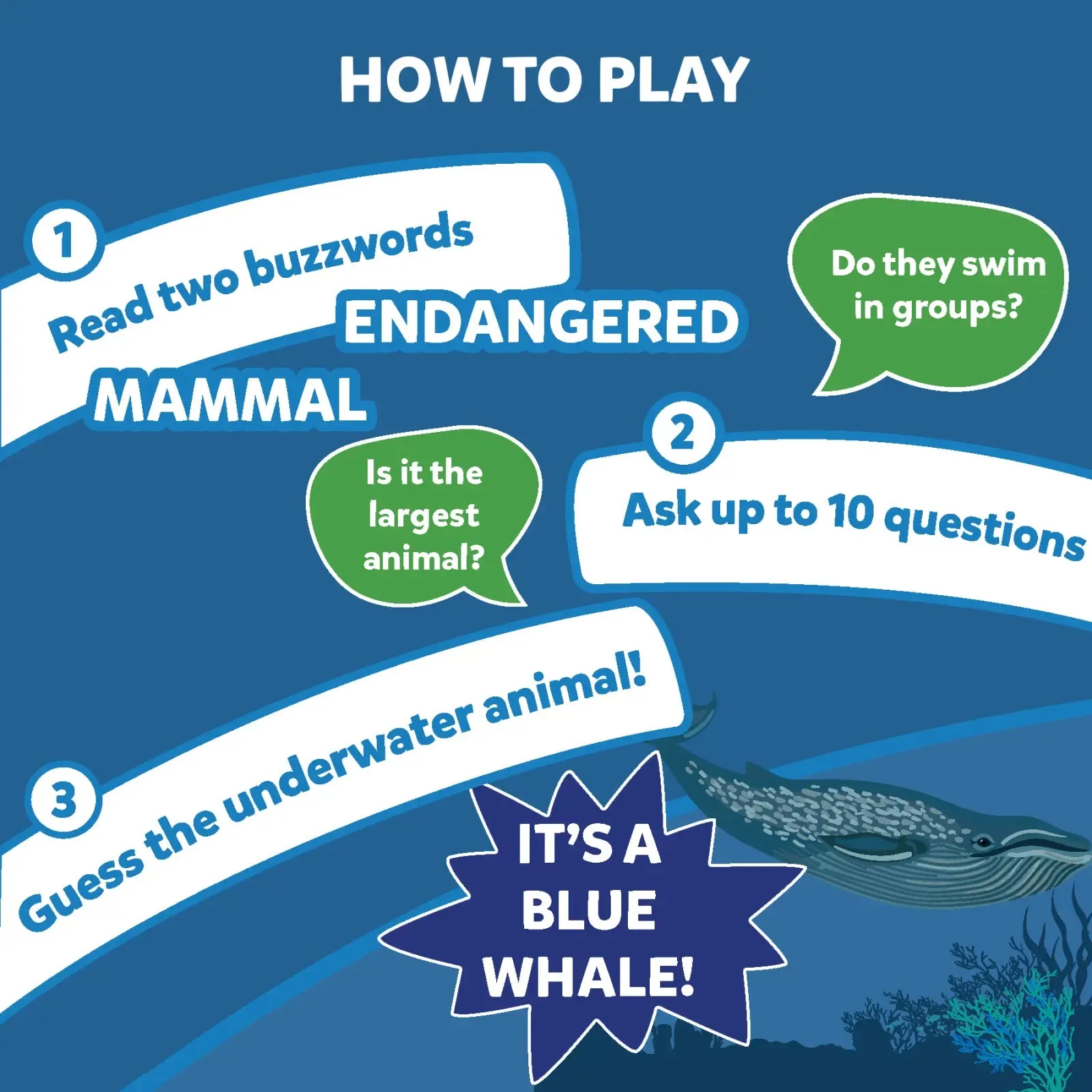 Guess in 10: Underwater Animals | Trivia card game (ages 8 )