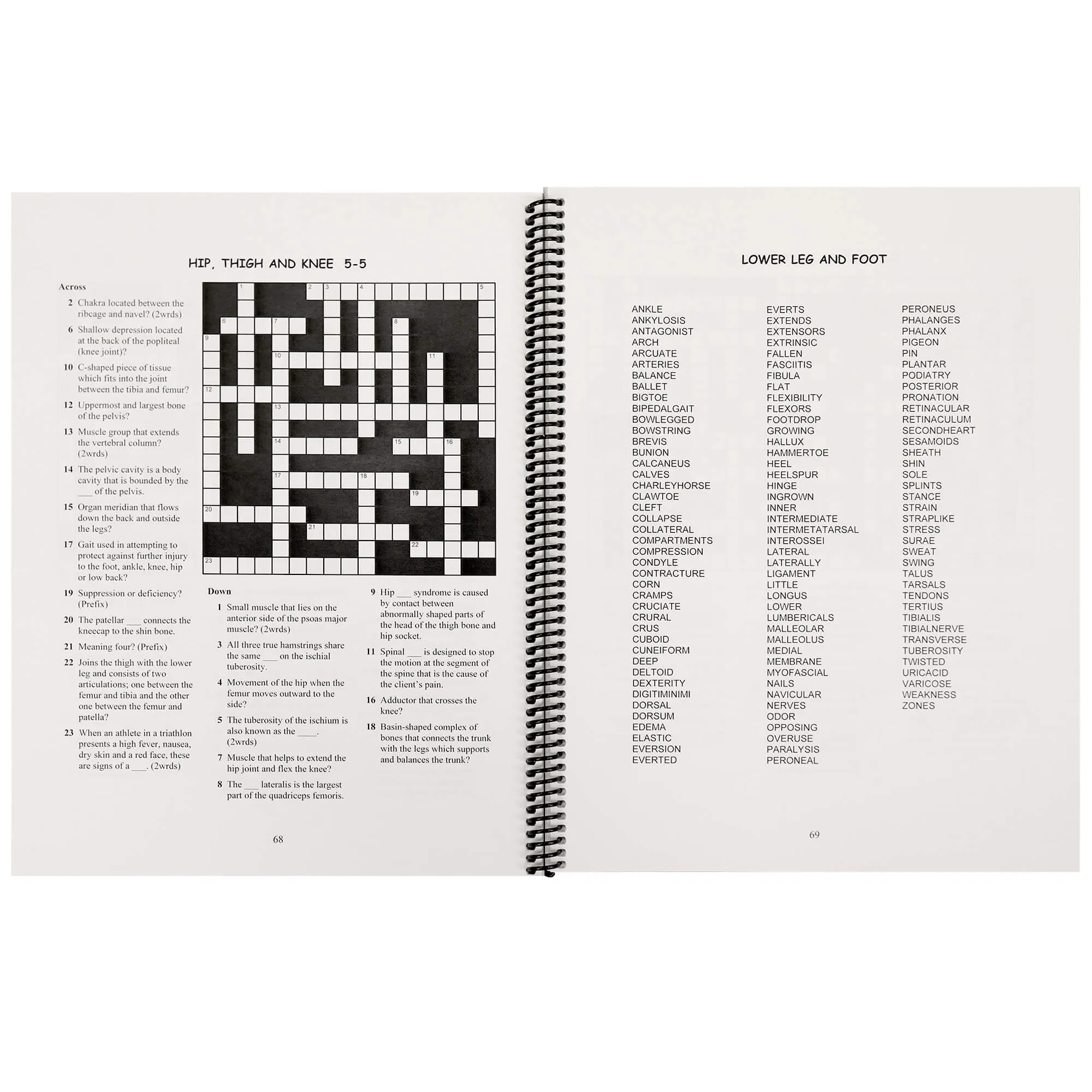 Massage Therapy Crossword Puzzle