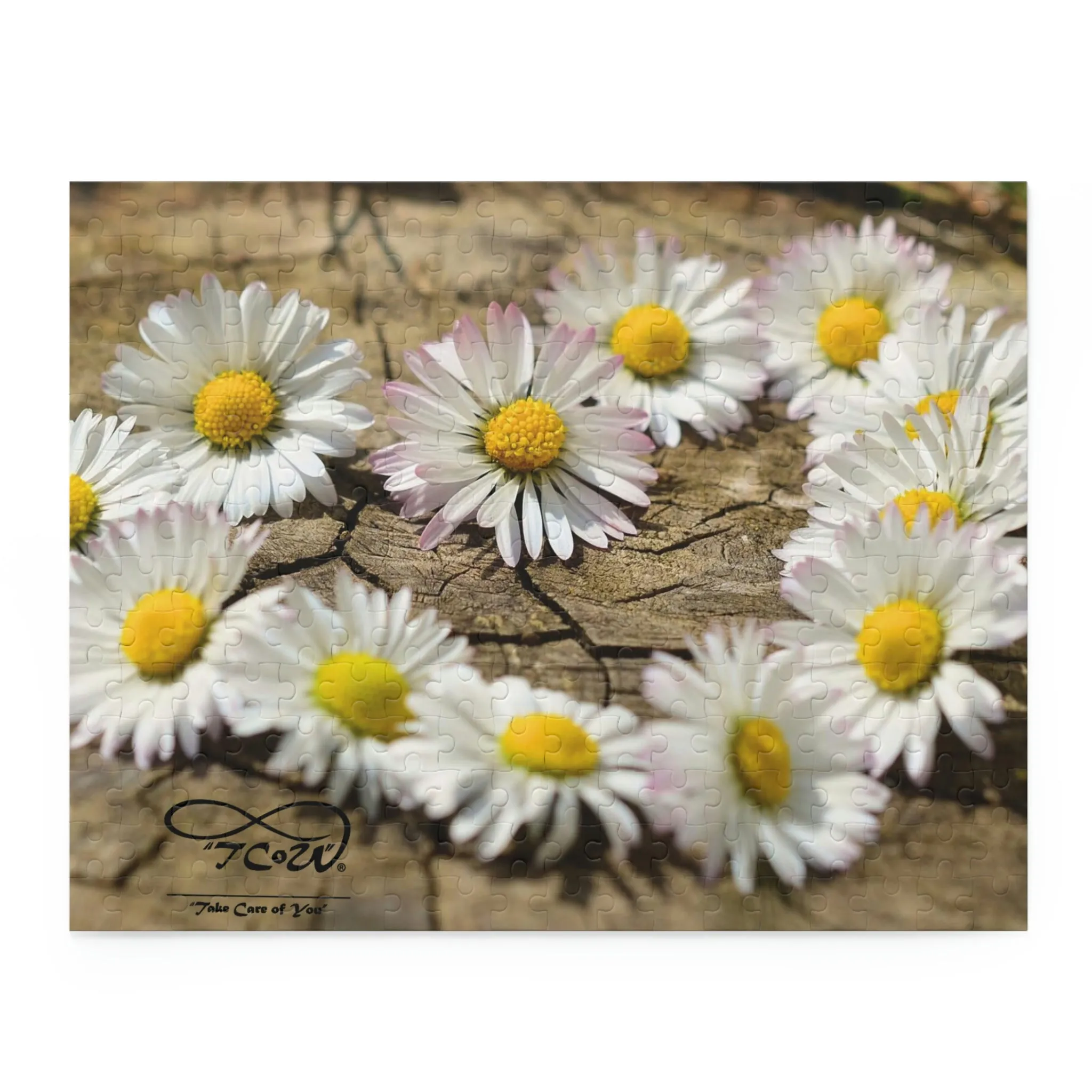 Puzzle (252 Piece)--TCoU Heart of Daisies