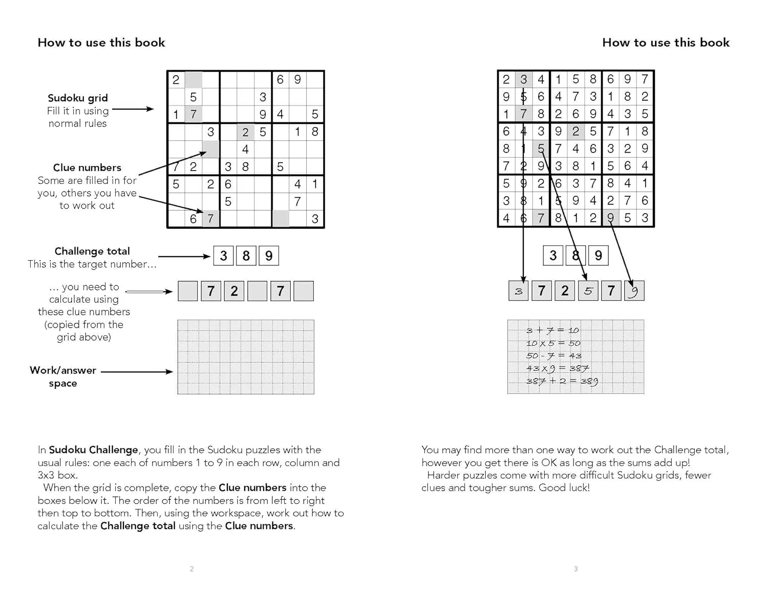 Sudoku Challenge Activity Book