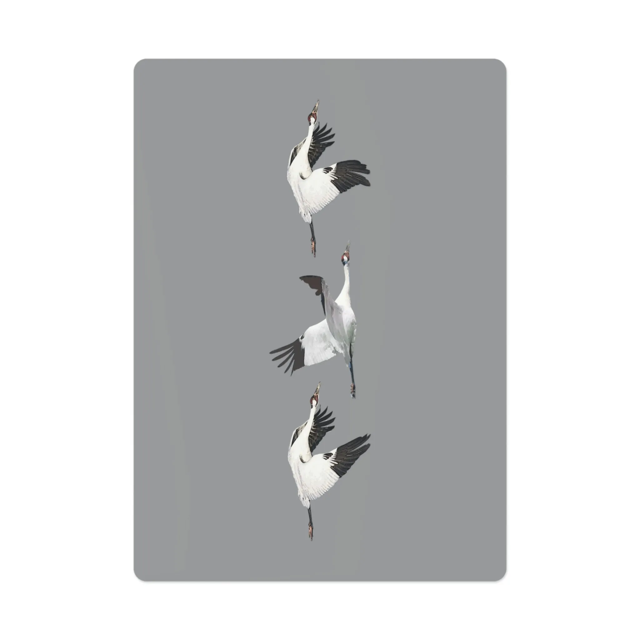 Whooping Crane II Poker Playing Cards